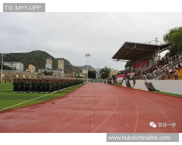 重庆足球队在联合会杯中的辉煌征程与突破成就全景回顾